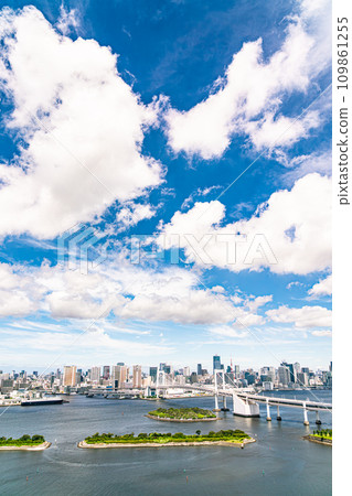 [Tokyo] Summer cityscape of Odaiba 109861255
