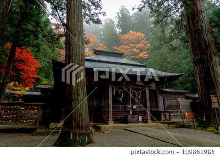 飛驒高山日枝神社被秋葉包裹著 109861985