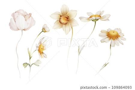 Set of wild flowers on a white background in watercolor style 109864093