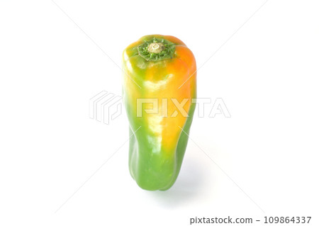 One substandard green bell pepper that has turned yellow or orange on a white background 109864337
