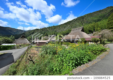Kyoto Miyama Town “Kayabuki no Sato” Old houses with thatched roofs 109864525