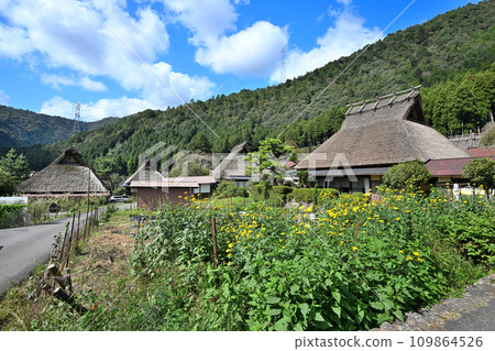 Kyoto Miyama Town “Kayabuki no Sato” Old houses with thatched roofs Kyoto Miyama Town “Kayabuki no Sato” Old houses with thatched roofs 109864526