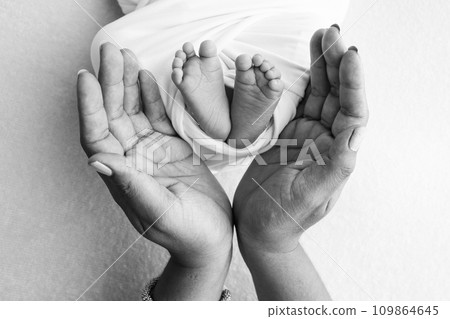 The palms of the parents, father and mother hold the legs, feet of a newborn baby. Feet, heels and toes of a newborn child close -up. Professional macro photo. Black and white.  109864645