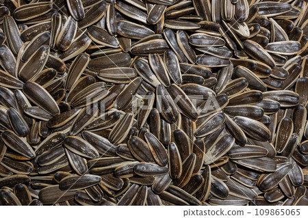 Non Salty Roasted Sunflower Seeds in Shell 109865065