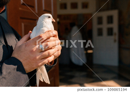 White dove in hands ready to be released into the sky after a wedding ceremony in an Orthodox Christian church 109865194