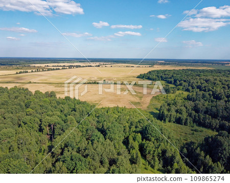Green deciduous forest next to a farm field. Landscape from a bird's eye view. Sunny weather. Green deciduous forest next to a farm field. Landscape from a bird's eye view. Sunny weather. 109865274
