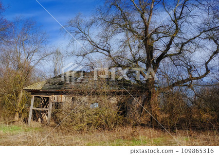A dilapidated shed with a caving roof in a serene setting. A dilapidated shed with a caving roof in a serene setting. 109865316