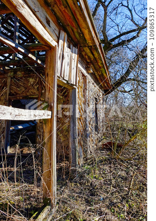 The image shows an abandoned wooden house with a collapsed roof, surrounded by overgrown vegetation and trees. The image shows an abandoned wooden house with a collapsed roof, surrounded by overgrown vegetation and trees. 109865317