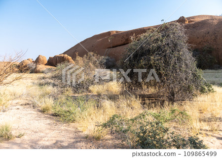 Landscape near Spitzkoppe Landscape near Spitzkoppe 109865499