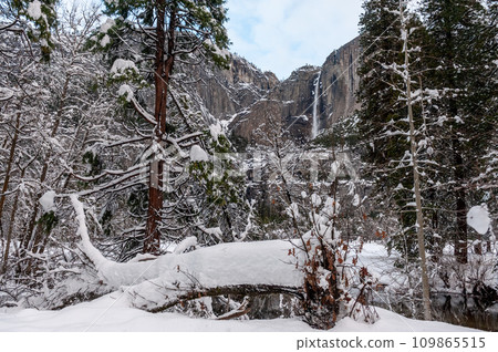 Yosemite falls in Winter 109865515