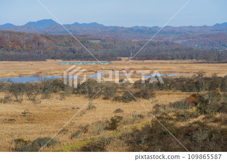 JR北海道H100型柴油列車穿過根室本線著名的帕什庫魯沼澤 JR北海道H100型柴油列車穿過根室本線著名的帕什庫魯沼澤 109865587