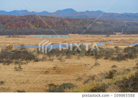 JR Hokkaido H100 type diesel train runs through the famous Pashkuru Swamp on the Nemuro Main Line 109865588