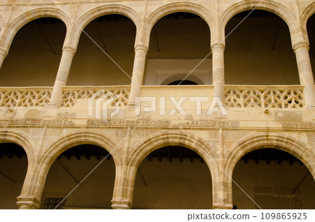 Courtyard of the palace of the Enriquez de Ribera family. Courtyard of the palace of the Enriquez de Ribera family. 109865925