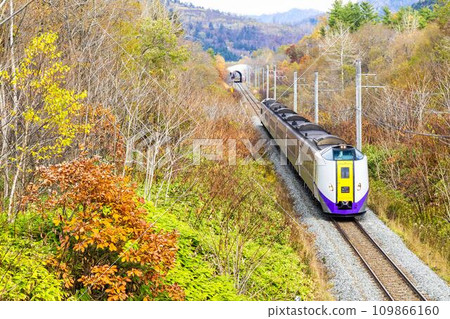 北海道佔冠村的關所線列車穿過秋葉 北海道佔冠村的關所線列車穿過秋葉 109866160