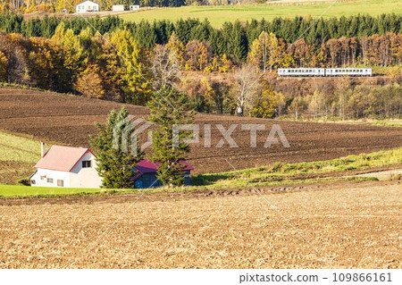 Red-roofed house and Furano Line train, Biei-cho, Hokkaido Red-roofed house and Furano Line train, Biei-cho, Hokkaido 109866161