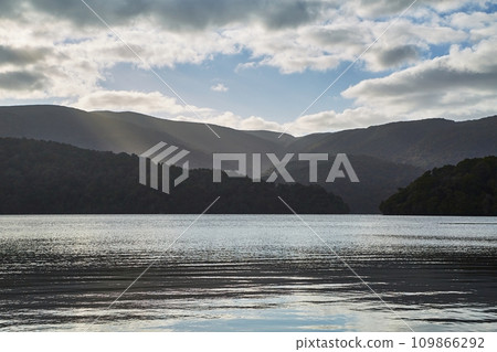 Beach with tall cliffs in New Zealand 109866292