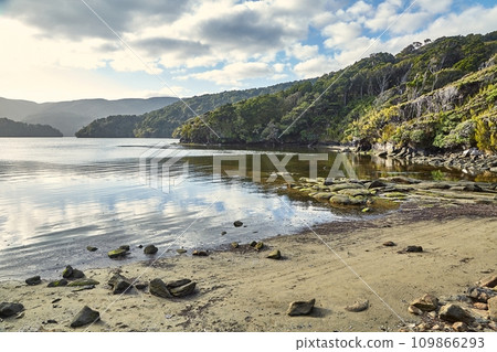 Sandy beach with tall cliffs in New Zealand 109866293