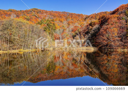 Lily of the valley lake with yellow leaves Lily of the valley lake with yellow leaves 109866669