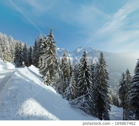 Morning winter mountain landscape 109867462