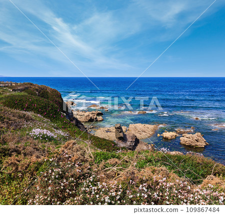 Summer blossoming Atlantic coastline (Galicia). Summer blossoming Atlantic coastline (Galicia). 109867484