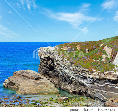 Summer blossoming Atlantic coast (Galicia). 109867485