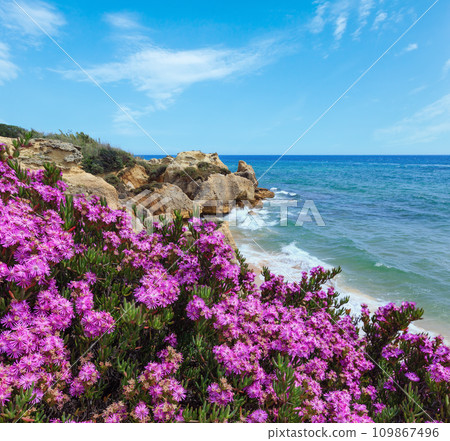 Atlantic blossoming coast view (Algarve, Portugal). Atlantic blossoming coast view (Algarve, Portugal). 109867496