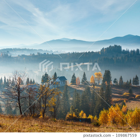 First sunrise rays of sun in Carpathian mountains. First sunrise rays of sun in Carpathian mountains. 109867559