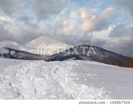 Sledge trace and footprints on winter mountain hill top 109867569