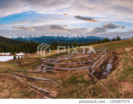 Spring Carpathian mountains 109867570