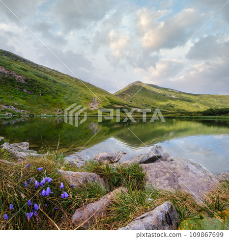 Summer Nesamovyte lake landscape, Chornohora ridge, Carpathian mountains, Ukraine 109867699