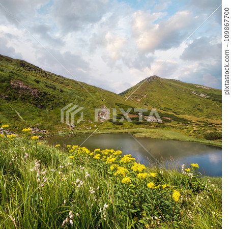 Summer Nesamovyte lake landscape, Chornohora ridge, Carpathian mountains, Ukraine 109867700