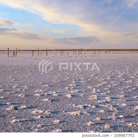 Sunset Genichesk pink  salty lake, Ukraine 109867701
