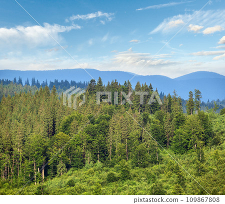 Picturesque summer Carpathian mountain countryside, Ukraine. Picturesque summer Carpathian mountain countryside, Ukraine. 109867808