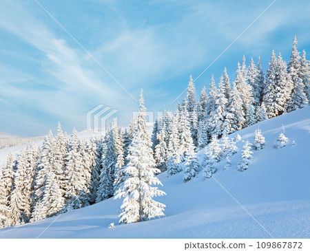 winter mountain landscape winter mountain landscape 109867872