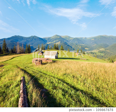 firewood stack on summer mountains 109867878