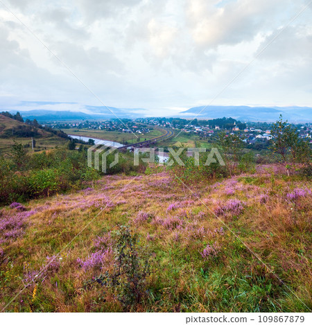 Summer misty morning country view. 109867879