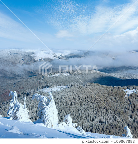 Winter mountain landscape with snowy trees Winter mountain landscape with snowy trees 109867898