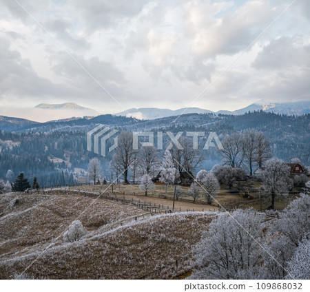 Winter coming. Picturesque foggy and moody morning scene in late autumn mountain countryside with hoarfrost on grasses, trees, slopes. Ukraine, Carpathian Mountains. 109868032