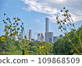 new-york city archtecture in downtown sunny light day 109868509