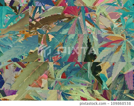 Colorful and artistic illustrations of many cannabis plants (2) 109868538