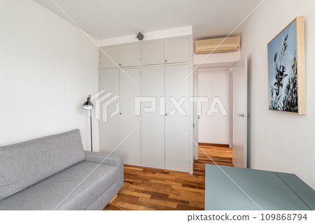 Large wardrobe, grey sofa and desk in elegant empty room Large wardrobe, grey sofa and desk in elegant empty room 109868794