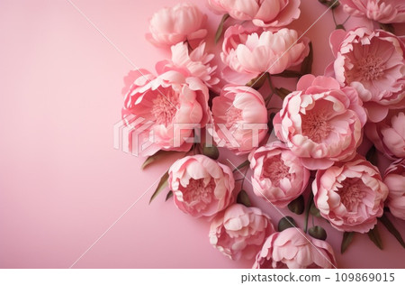 pink peonies on a pink background 109869015