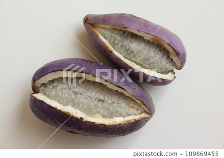 Akebi Akebi 109869455