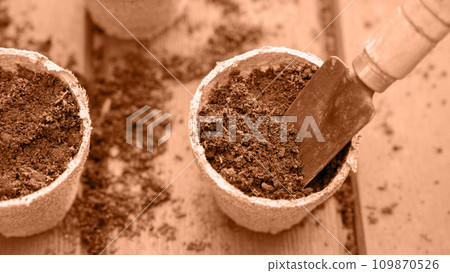 Planting a seed in eco friendly biodegradable peat pots. Image toned in Peach Fuzz color of the year 2024. Spring natural gardening, eco, plant care, organic product 109870526
