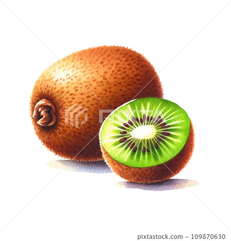 Simple "kiwi" watercolor illustration Simple "kiwi" watercolor illustration 109870630