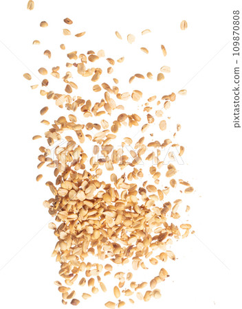 Roasted Peanut bean fall down in group, Roasted Peanut bean float explode, abstract cloud fly. Roasted Peanut beans splash throwing in Air. White background Isolated high speed shutter, freeze motion 109870808
