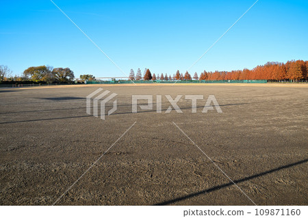 初冬的場景 大宮健康保險場 埼玉市 109871160