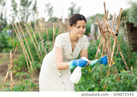 Woman works with garden spray in the yard. Treatment of plants with insecticides Woman works with garden spray in the yard. Treatment of plants with insecticides 109872545