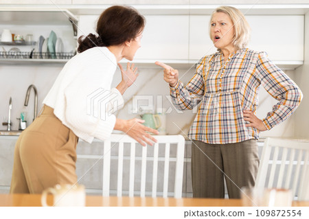 Angry old and middle-aged women quarreling aggressively to each other in the kitchen 109872554