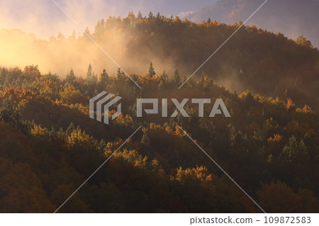 岩手縣奧州市，黎明風景 109872583